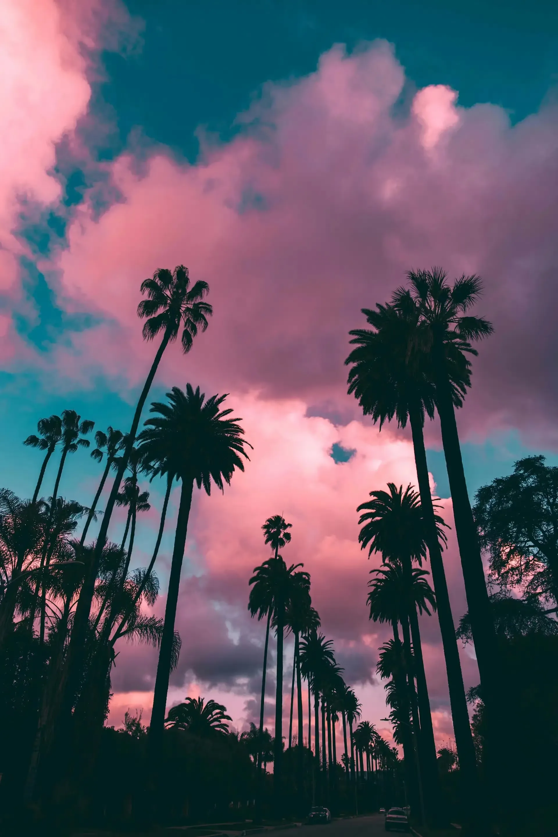 Cali